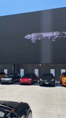 Teslas gather at West Hollywood LED display showing mixed content