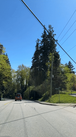 Vehicle records red SUV on tree-lined Burnaby road