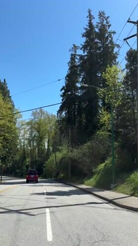 Vehicle records red SUV on tree-lined Burnaby road