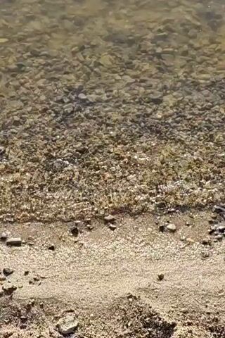 The video shows a close-up view of a sandy shore meeting the shallow, clear water of a body of water. The bottom is visible through the water and is composed of small pebbles and sand. The water gently laps at the shore, creating small ripples. The lighting suggests it is daytime.