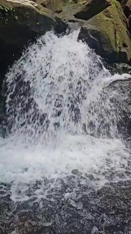 A close-up shot of a powerful waterfall cascading over moss-covered rocks in a lush, green forest. The water is white and frothy, creating a dynamic and energetic scene. The camera slowly pans up, revealing more of the waterfall and the surrounding rocks, which are covered in various shades of green moss and vegetation. The water appears to be flowing from a stream or river above, disappearing into the rocky terrain. Sunlight filters through the dense foliage, illuminating the scene with a soft, natural light. The sound of the rushing water is prominent, creating a sense of immersion and tranquility. There are no people visible in the video.