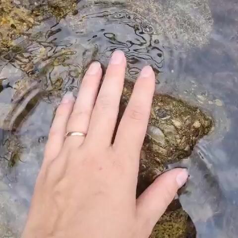 A hand with a ring on the ring finger rests on a rock in shallow water. The rock is rough and appears to be composed of pebbles and other debris cemented together. The water is clear and slightly rippled, allowing the texture of the rock and the bottom to be visible.