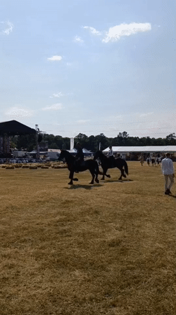 Horses, sheep, and festival food at a Romanian outdoor event