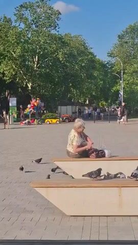 A woman sits on a bench outdoors, holding a small object in her hands. Pigeons are gathered around the bench, with some on the bench and others on the ground. In the background, there is a park-like setting with trees, people walking, and several colorful balloons. There are also some small toy vehicles, including a yellow ride-on car, visible in the distance. The sky is blue with a few white clouds, suggesting a sunny day.