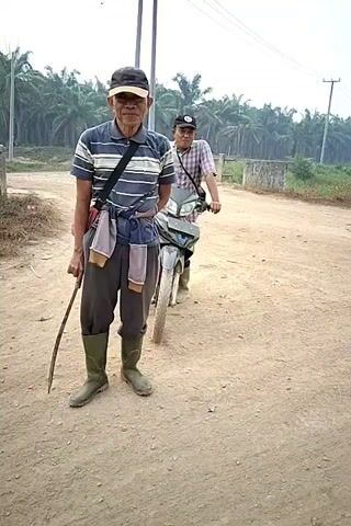 A man stands on a dirt road, holding a stick and wearing a cap, a striped shirt, dark pants, and green boots. Behind him, another person rides a motorcycle, also wearing a cap and a plaid shirt. The road is flanked by palm trees. The scene appears to be in a rural or agricultural area.
