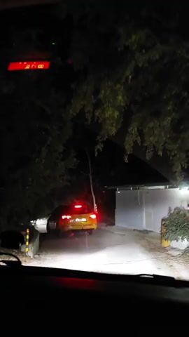 A car drives at night through a wooded area. The car is yellow and has its brake lights on. The car is approaching a building with white siding and some sort of awning. There is a red digital clock on the windshield of the car. The clock shows 20:00. The car's headlights illuminate the road and the surrounding trees and foliage.