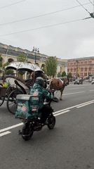 Horse-drawn carriage spotted on Saint Petersburg street