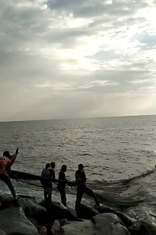 Four people stand on a rocky shoreline at the edge of an ocean, holding a large fishing net that extends into the water. The sky is overcast with clouds. They appear to be working together to pull the net in, perhaps hauling a catch.
