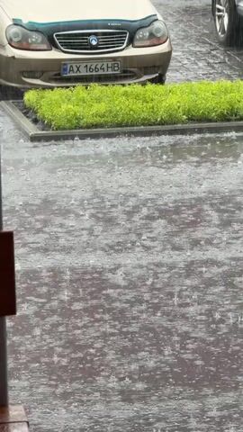 The video shows a close-up view of rain falling on an asphalt surface. In the background, a gold-colored car is parked with its front end visible. The car has a license plate that reads AX 1664 HB. In front of the car is a raised rectangular planter filled with vibrant green shrubs. The rain is creating ripples and splashes on the asphalt, indicating it is falling heavily. The scene appears to be outdoors, possibly a parking lot or driveway, given the presence of the car and asphalt. The overall atmosphere is one of a rainy day.