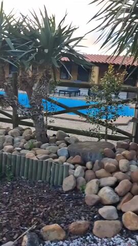 The camera pans across an outdoor area with a swimming pool in the background.  The pool is fenced off with a split-rail fence. In the foreground, there are several palm-like plants surrounded by a bed of round rocks and a low barrier made of vertically arranged wooden slats.  A small pile of logs lies on the ground cover of wood chips. Further along, a gravel pathway curves into a green lawn with trees and bushes.  Small, solar-powered lights are placed along the edge of the pathway. The sky is overcast. No people are visible.