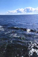 Choppy blue water on the Volga near Koz'modem'yansk