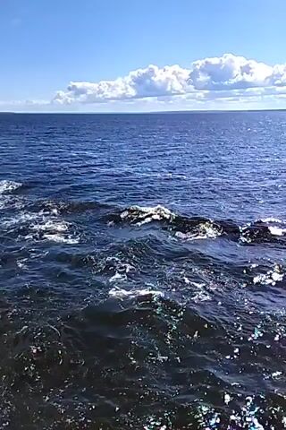 A video captures a view of a vast expanse of dark blue water under a bright blue sky with scattered white clouds. The water's surface is rippled, with sunlight reflecting off the waves, creating a shimmering effect. In the distance, a faint landmass is visible on the horizon. The camera appears to be moving slightly, possibly from a boat.