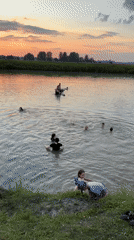 Sunset swim in calm waters near Bigila, Russia