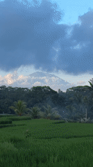 Tourist captures morning views of Tegallalang rice terraces