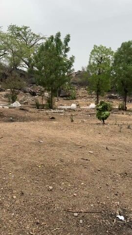 The video shows a person covered in green leaves walking across a dirt field. They move from right to left, toward the camera. Behind them is a hill covered with trees and large rocks, as well as some grave markers. The sky is overcast.