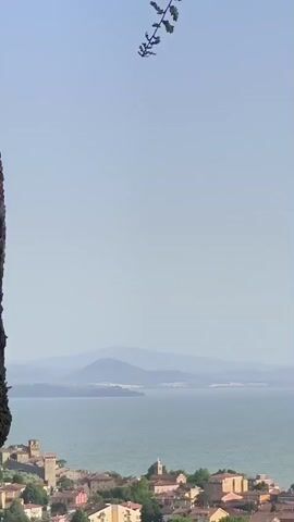 This is a vertical, panning video of a scenic view overlooking a body of water, a town, and distant mountains. On the left side of the frame, a large, textured tree trunk is partially visible, providing a natural frame. The camera pans slowly to the right, revealing a picturesque town nestled along the water's edge, characterized by terracotta roofs, stone buildings, and a prominent church steeple. Beyond the town, a vast expanse of calm, blue water stretches towards a hazy horizon. In the distance, several layers of mountains are visible, their shapes softened by atmospheric perspective. The sky is a clear, pale blue, indicating a bright, sunny day. A delicate, leafy branch hangs from the top of the frame, adding a touch of nature to the composition. The overall impression is one of tranquility and expansive natural beauty.