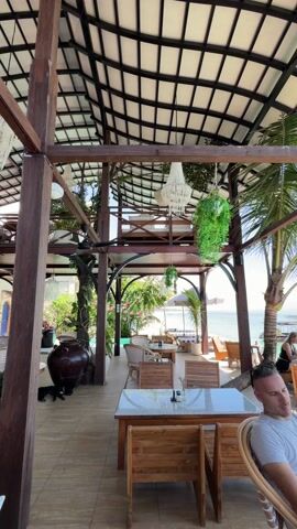 The camera pans upward to reveal the interior of a luxurious beachside restaurant. The structure features a high, open ceiling with a grid of dark beams and a white panel roof. Elegant chandeliers and hanging plants adorn the ceiling. The restaurant is furnished with wooden tables and chairs, and potted plants add to the tropical atmosphere. In the background, the turquoise ocean can be seen, with lounge chairs and umbrellas on the beach. A small black dog lies near a large, dark pot in the foreground. Part of a person's face is visible at the right. The overall impression is one of upscale relaxation and seaside charm.