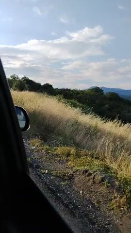 This video captures a scenic drive through a rural landscape in Surakhany, Azerbaijan. The scene is dominated by rolling hills covered in dry, golden grass and lush green trees. The sky above is a clear blue, dotted with white, fluffy clouds, suggesting a pleasant daytime, likely late afternoon given the soft, warm light illuminating the vegetation.

The camera appears to be mounted in a moving vehicle, indicated by the slight blur and the perspective of the roadside. A dirt track or unpaved road runs alongside the grassy incline, with a white line marking the edge of what could be a paved road in the foreground. Small pieces of litter are visible along the edge of the road, a common sight in some natural areas.

In the distance, more layers of mountains fade into a hazy blue, creating a sense of depth and vastness. A prominent, mature tree stands on the left side of the frame, its branches reaching towards the sky. The overall impression is one of natural beauty and a peaceful journey through the Azerbaijani countryside. There is no visible text in the video.