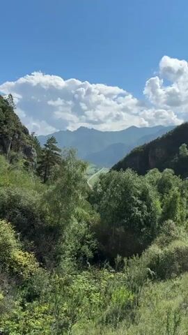 The video pans across a verdant mountain valley under a bright blue sky dotted with fluffy white clouds. Lush green trees and bushes dominate the foreground and midground, creating a dense, natural landscape. In the distance, rolling mountains stretch across the horizon, their peaks softened by the haze. A faint, winding road is visible in the valley below, with a hint of a train track running parallel to it. The camera moves slowly, offering a sweeping view of the natural beauty of the area. The overall impression is one of peace and tranquility in a remote, untouched environment.