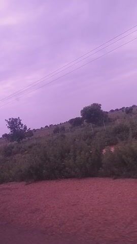 This media file appears to be a video or a series of photos taken from a moving vehicle, likely a car or motorcycle, traveling along a dirt road. The perspective is from inside the vehicle, looking out towards a landscape.

The scene depicts a rural or semi-rural setting in Kafarati, Nigeria. The immediate foreground on the right side of the frame is a reddish-brown dirt road, suggesting it is unpaved. To the left of the road, there is a dense, green vegetation that appears to be fields or a natural landscape, with some scattered trees. The vegetation is lush, indicating it might be during a growing season or a time of year with ample rainfall.

In the distance, the landscape is characterized by rolling hills or a gradual incline covered in vegetation. Several trees are visible dotted across this landscape. Above the vegetation and stretching across the left side of the frame are power lines, supported by a utility pole that becomes more prominent as the view progresses. The power lines stretch horizontally across the sky, indicating the presence of infrastructure in the area.

The sky is a prominent feature, displaying a soft, diffused light that suggests either dawn or dusk. The color of the sky is a light purple or pinkish hue, with some wispy clouds visible. This coloration could be indicative of the "blue hour" or a similar twilight period. There is no visible text in the media file. The overall mood conveyed by the image is one of peaceful transit through a natural and sparsely populated environment. There are no people or animals visible in the frame.