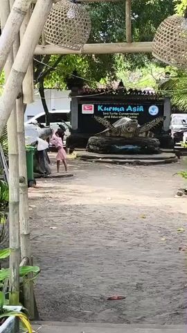 A child in a pink dress walks down a dirt path towards a large sign that reads "Kurma Asih Sea Turtle Conservation and Education." A large turtle statue is in front of the sign. Two people are visible behind a garbage can to the left of the path. A large bamboo archway with two woven lanterns frames the scene.