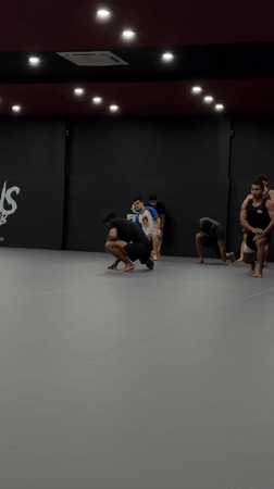 Morning MMA training session at Lions MMA Club, Chalong