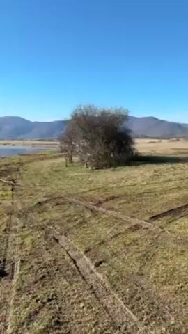 The camera pans from a small tree on grassy ground toward a lake. The ground shows tire tracks. Across the lake are wooded hills and mountains, with snow on the peaks of some of them. The sky is clear and blue.
