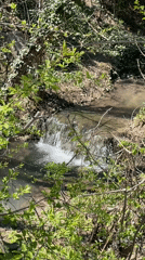 Man-made waterfall observed in wooded area near Varna, Bulgaria