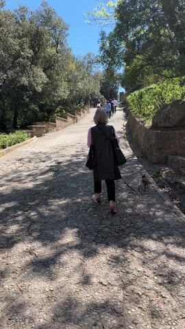 The video shows a woman walking her dog up a cobbled path on a sunny day. The path is bordered by stone walls and greenery, and lined with trees. There are other people walking further up the path. The sky is blue.