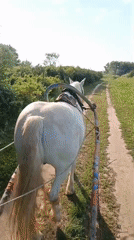 Rural summer event in Grigoryevka, Russia, with horses, water, and cannons