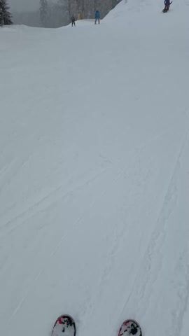 The video opens with a wide shot from a first-person perspective, looking down a snowy ski slope. The snow appears fresh with some tracks visible. In the distance, several skiers can be seen making their way down the mountain. The sky is overcast and appears to be snowing lightly, with snow-covered trees lining the sides of the slope further up. After a few seconds, the camera shifts to look directly down at a pair of skis, which are red, black, and white with visible branding. The skis are positioned on the snow, moving slightly as if the person is either stationary or just starting to move down the slope. The focus remains on the skis for the rest of the short clip, with the textured snow beneath them clearly visible.