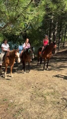 Three individuals are riding horses on a dirt path. The person on the left is a woman with dark hair, wearing a white shirt and beige pants. She is on a light brown horse with a white blaze on its face. The middle person is a young girl with blonde hair, wearing a pink shirt and jeans. She is on a dark brown horse with a green bridle. The person on the right is a young girl with blonde hair tied back, wearing a pink tank top and shorts. She is on a bay horse with a brown saddle. They are in a wooded area with pine trees and a body of water visible in the background. The sun is shining, creating shadows on the ground.