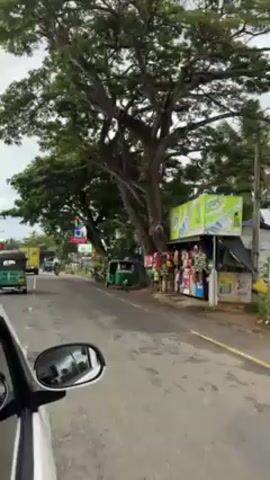 From the perspective of a vehicle passenger, the video shows a street scene in Sri Lanka. The vehicle is moving down a street lined with shops and trees. Tuk-tuks and motorcycles are traveling on the road. Some shops have signage in English, while others display Sinhala text. The weather appears overcast.