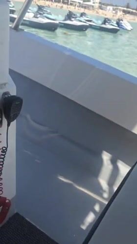 Tropical-themed cup spotted on boat in Ayia Napa