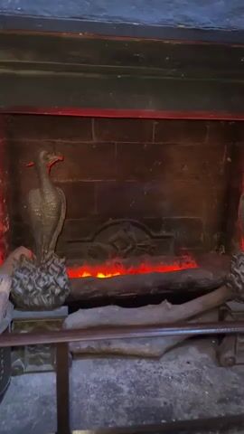 This media file showcases a dimly lit, atmospheric interior that evokes a sense of history and mystery. The scene opens with a close-up of a fireplace featuring a decorative grate with an engraved scene, and an electric fire emitting a warm, orange glow, suggesting a cozy or perhaps even magical ambiance. Flanking the fireplace are two ornate, dark statues of birds, perched on what appear to be nests. A weathered piece of wood rests in front of the fireplace, adding to the rustic feel.

The camera then pans to the right, revealing a tall, dark wooden cabinet with arched glass doors. This cabinet is filled with an assortment of intricate, antique scientific instruments, including astrolabes, telescopes, and various brass contraptions, hinting at a study or a laboratory. The gothic architectural style of the cabinet, with its pointed arches and decorative carvings, further enhances the old-world charm. The lighting is subdued, with spotlights subtly illuminating the objects within the cabinet, creating a dramatic effect.

The overall impression is one of a meticulously curated space, possibly a museum exhibit, a historical building, or a set designed to replicate such an environment. The lack of visible people or clear indications of the time of day or weather outside, combined with the detailed, antique objects, creates a timeless and somewhat enigmatic atmosphere. The setting suggests a location in the United Kingdom, given the contextual information. There is no visible text within the media file itself.