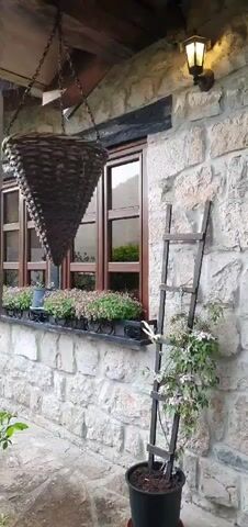 The video displays a static shot of the exterior of a building, featuring a stone wall and rustic elements, likely in Grab, Bosnia and Herzegovina. The main subjects include a light-colored, textured stone wall, which forms the building's facade. A prominent wooden window frame with multiple panes is set into the wall, reflecting greenery from outside. Below the window, there are several dark-colored flower boxes filled with vibrant pink and green plants, adding a touch of color and life to the scene.

To the right of the window, a dark wooden trellis or decorative ladder stands vertically against the wall, supporting a climbing plant with small, delicate white and pink flowers. Above the window, an outdoor light fixture with a warm glow is mounted on the stone wall, contributing to the inviting atmosphere. A large, dark brown woven basket, shaped like an inverted cone, hangs from chains suspended from the wooden eaves of the building, creating a unique focal point. The ground beneath is paved with light-colored stones, suggesting a patio or walkway. The overall impression is one of rustic charm and tranquility. There are no people visible, and no discernible activity other than the static view of the building's exterior. The lighting suggests it is daytime, possibly early morning or late afternoon, given the soft illumination and the active outdoor light. No text is visible in the frame.
