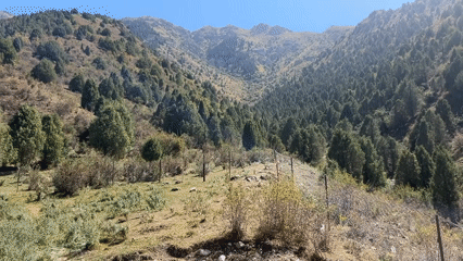 Sun-lit mountain slopes near Kazarman, Kyrgyzstan
