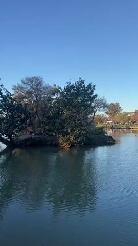 A serene lake reflects a clear blue sky with a faint moon visible. Trees line the far bank, some bare of leaves, hinting at autumn or winter. A small island with trees is in the foreground. Buildings with outdoor seating are visible on the right bank. A few ducks are swimming in the water. The scene appears to be a park or recreational area.