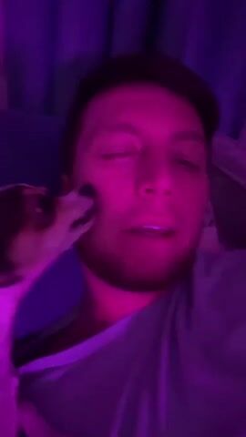 A close-up video shows a man with short brown hair and a beard lying down, with a small dog licking his cheek. The lighting is predominantly purple and pink, creating a moody atmosphere. The man is wearing a light blue t-shirt. The background consists of dark blue curtains. The dog, which is white with brown markings, is positioned on the left side of the frame, facing the man. The dog's head is on the man's face, and its tongue is visible as it licks his cheek. The man is looking directly at the camera and smiling slightly. The video captures a moment of affectionate interaction between the man and his dog.