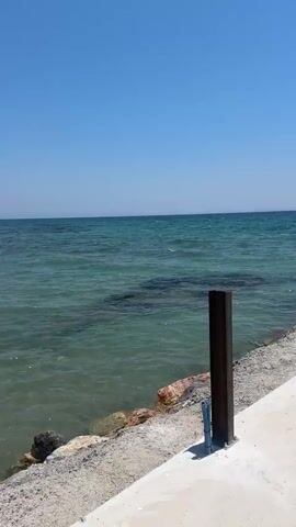 This video shows a picturesque scene of the sea and coastline on a clear, sunny day. The camera pans across the turquoise waters, revealing a rocky shore with some seaweed visible beneath the surface. A concrete walkway lines the edge of the shore, with several dark metal posts marking its path. The sky is a vibrant, cloudless blue, indicating pleasant weather.

The setting appears to be a coastal area, possibly a promenade or a pier, given the walkway and the posts. The absence of people suggests a peaceful and tranquil moment, allowing the viewer to focus on the natural beauty of the seascape. The time of day is likely midday or early afternoon, given the bright sunlight and the clear visibility.

The video captures the gentle movement of the waves and the shimmering effect of sunlight on the water. The contrast between the rough texture of the rocks and the smooth concrete walkway adds visual interest. The dark metal posts, though functional, also contribute to the composition, creating a sense of order and structure against the natural backdrop. The overall impression is one of serenity and the simple beauty of a seaside landscape.

There is no visible text in the video.