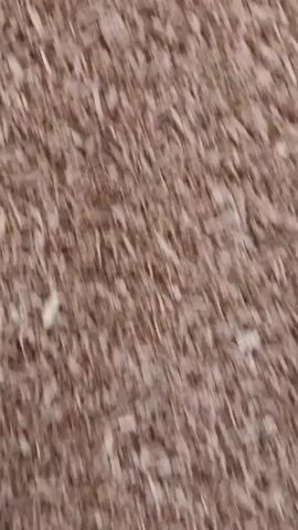 This video shows a close-up, slightly blurry, overhead view of a pile of wood shavings or sawdust. The material is a light brown color and appears to be dry and somewhat fibrous. The lighting suggests an indoor environment. There are no people or objects other than the wood shavings visible in the frame. The camera appears to be slowly moving downward or possibly slightly shaking, causing the blur.