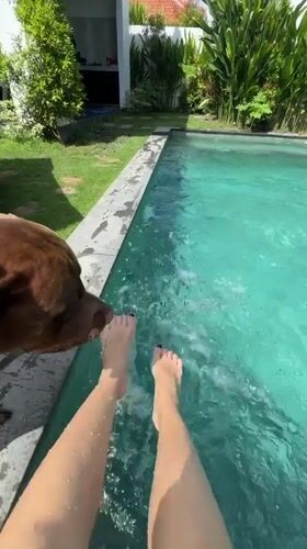 Morning poolside moments with dog captured in Mengwi Indonesia