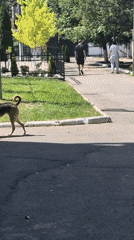Everyday neighborhood life captured in residential Chișinău, Moldova