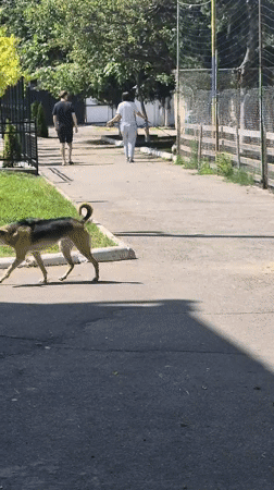 Everyday neighborhood life captured in residential Chișinău, Moldova