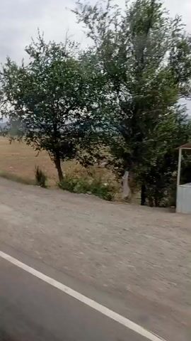 This is a horizontal, eye-level video filmed from a moving vehicle, likely a car, traveling alongside a dirt road. The sky is overcast with a mix of white and gray clouds. In the foreground, the dirt road takes up the bottom portion of the frame, with a white line visible on the left edge. To the right of the road is a dry, grassy field dotted with some sparse green vegetation and a few scattered trees. In the distance, rolling hills or mountains are visible under the cloudy sky. The video captures a landscape that appears rural or semi-arid. A black car is partially visible on the left side of the road at the beginning of the clip, and a small green motorized tricycle is parked on the side of the dirt road further along. There are no people visible in the video.