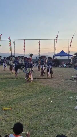 A group of performers, dressed in traditional costumes with headdresses resembling horses, dance in a field during what appears to be an outdoor event. The performers are moving in unison, with some holding sticks. In the background, spectators are seated behind a fence, and a blue tent is visible. The sky is clear and shows signs of sunset. The ground is covered in grass, with some debris scattered around. The video is shot from a low angle, focusing on the dancers.