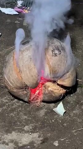 A close-up video shows a coconut on the ground. It is split open with red embers and smoke coming out. A rake is visible in the background, and there are some pieces of trash on the ground.