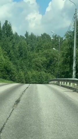 This is a first-person perspective video of a drive on an asphalt road. The road appears to be a two-lane road, with one lane curving to the left. On the right side of the road, there is a metal guardrail. Beyond the guardrail, there are trees and a utility pole with two streetlights. The left side of the road is bordered by a grassy shoulder and more trees. The scene is set in a rural or suburban area, surrounded by dense green foliage. The sky is visible in the background with some white clouds against a blue sky, suggesting it is daytime and likely fair weather. There is no visible text in the video. The activity is driving. No people or specific objects beyond the road, guardrail, trees, and utility pole are discernible. The setting is likely Городок, Russia, as provided in the context.