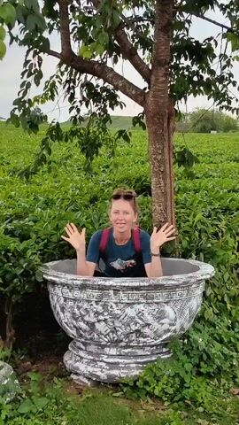 A woman is sitting inside a large, ornate, gray planter. She is surrounded by lush green tea plants. A tree stands behind her. The woman is wearing a blue t-shirt, sunglasses, and has her hair pulled back. She makes various hand gestures, including holding her hands up, pointing a finger in the air, and resting her chin on her hands. The background consists of a tea plantation, rolling hills, and a cloudy sky. The video appears to be shot outdoors during the day.
