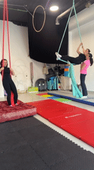 Women practice aerial silk acrobatics at Montenegro studio